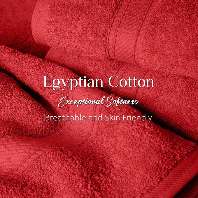 Superior Egyptian Cotton Plush & Absorbent, Bath Towel Set of 4, Soft Luxury - Image 4