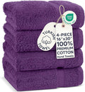 Chakir Turkish Linens 100% Cotton 4-Pack Hand Towels 16x30, Eggplant | Premium by ChakirTurkishLinens